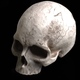 A toy of a plastic white skull, which is actually that of minor (and yet very influential) Star Wars character Bidlo Kwerve.